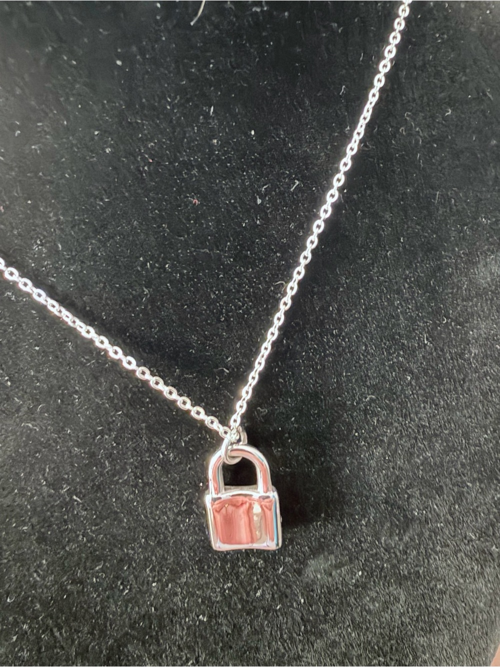Silver Padlock Pendant Necklace on an 18” stainless chain.
